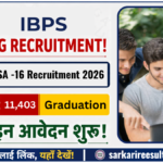 IBPS Clerk Notification 2026 के 11403 पदों पर भर्ती, यहाँ Direct Link से अभी करें ऑनलाइन आवेदन